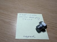 IMG_4300.jpg
