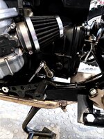 RECTIFY_IMG_20260511_182917.jpg