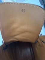 IMG_2106.jpeg
