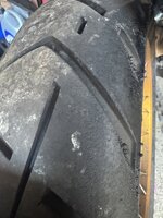 IMG_5629.jpeg IMG_5629.jpeg