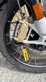 IMG_1353.jpeg