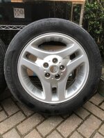 IMG_4733.jpeg