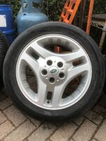 IMG_4735.jpeg