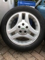 IMG_4736.jpeg