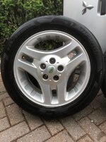 IMG_4737.jpeg