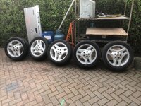IMG_4732.jpeg