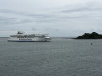 IMG_4015.jpeg IMG_4015.jpeg