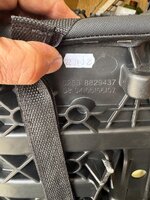 IMG_9590.jpeg