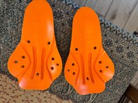 IMG_2954.jpeg