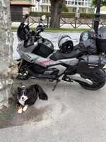 IMG_4049.jpeg