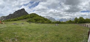 IMG_4096.jpeg