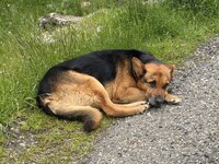IMG_4098.jpeg