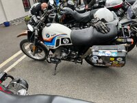IMG_3082.jpeg IMG_3082.jpeg