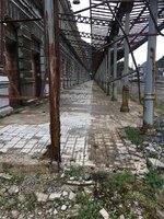 IMG_0390.JPG
