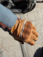 IMG_4188.jpeg