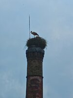 IMG_20260522_100855.jpg