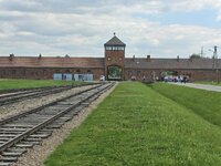 7168.jpg