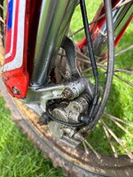 IMG_1689.jpeg
