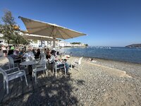 IMG_4274.jpeg
