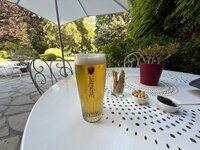 IMG_4329.jpeg