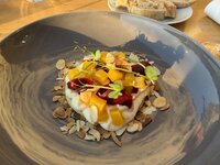 IMG_4343.jpeg