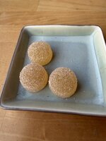 IMG_4350.jpeg