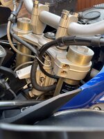 IMG_8158.jpeg