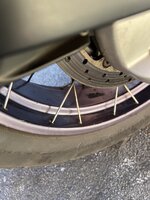 IMG_8172.jpeg