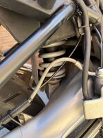 IMG_8169.jpeg