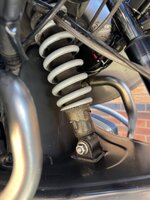 IMG_8168.jpeg