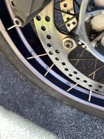 IMG_8166.jpeg