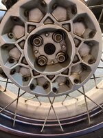 IMG_8165.jpeg