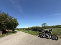 IMG_6262.jpeg IMG_6262.jpeg