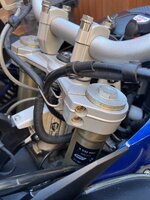 IMG_8192.jpeg