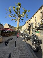IMG_4375.jpeg