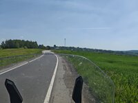 7265.jpg