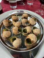 IMG_4420.jpeg