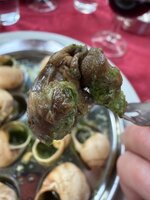 IMG_4421.jpeg