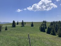 IMG_0696.jpeg IMG_0696.jpeg