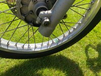 IMG_0495.jpeg IMG_0495.jpeg