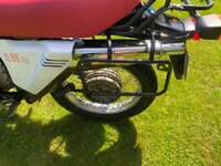 IMG_0500.jpeg IMG_0500.jpeg