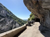 IMG_4503.jpeg