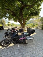 IMG_4520.jpeg