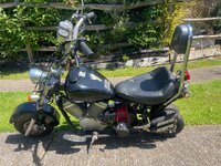 IMG_7768.jpeg