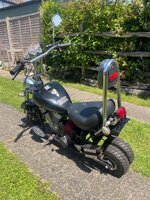 IMG_7769.jpeg