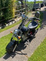IMG_7772.jpeg