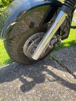IMG_7770.jpeg