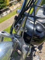 IMG_7771.jpeg