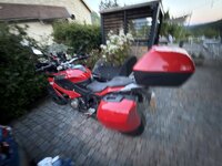 IMG_4535.jpeg