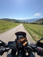 IMG_4559.jpeg